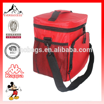 Insulated Lunch Bag Nylon Zipper Closures Large Side Pockets Bottle cooler bag Carry Handle Shoulder Strap